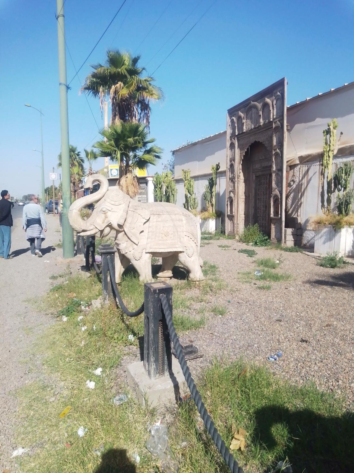 Riad Bouganville Bleu マラケシュ エクステリア 写真